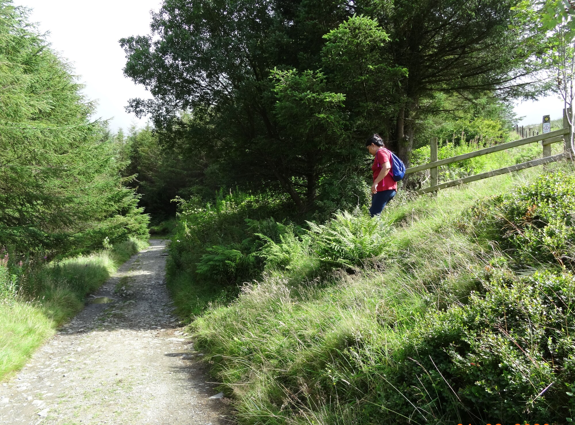 RachelSeabrook.net | Wild Walking | Craig y Pistyll | pic05